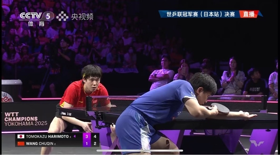 YAA, 当时网友分, xyQZu YAA, 当时网友分, xyQZu